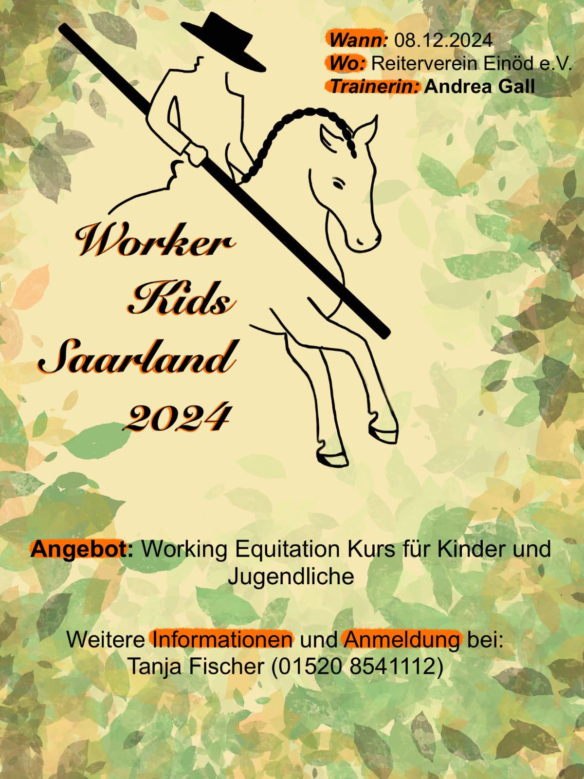 Kurs Andrea Gall 202412